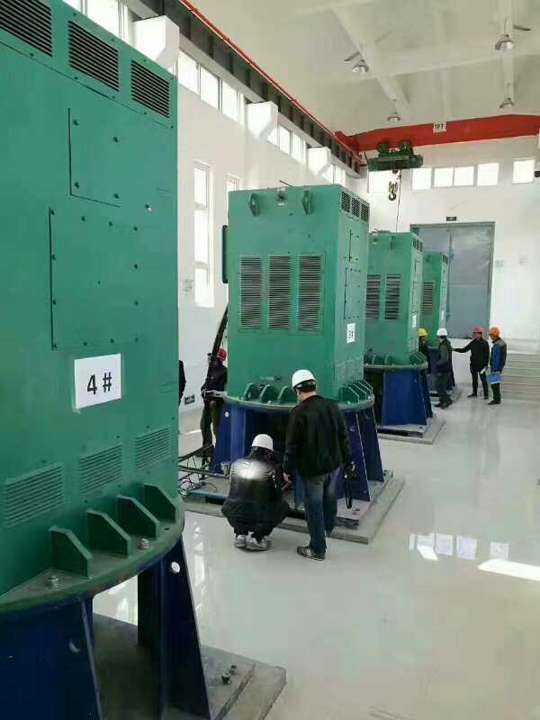 闵行某污水处理厂使用我厂的立式高压电机安装现场