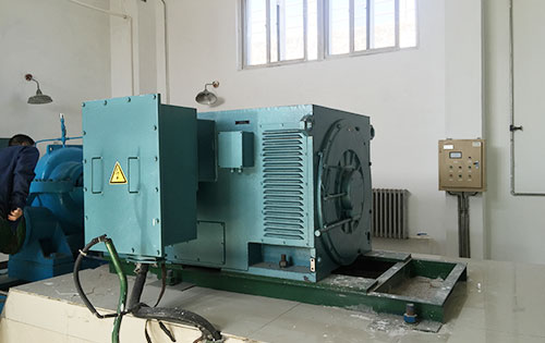闵行某水电站工程主水泵使用我公司高压电机